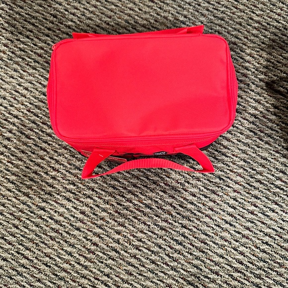 Trader Joe's Mini Insulated Bag - Picture 4 of 4